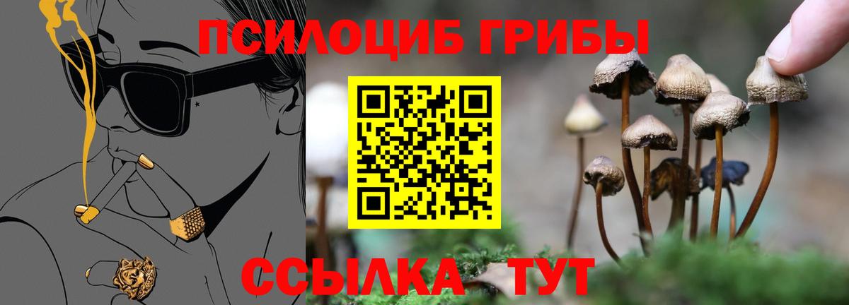 Галлюциногенные грибы ЛСД Северск